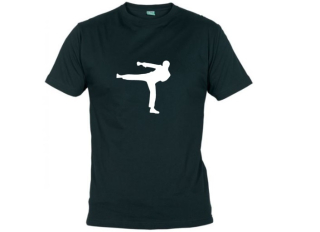 Pánské tričko s potiskem - karate, karatista, karatistka